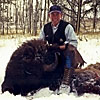 Bison in the Snow